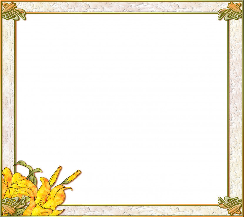 Lily Flower Frame Floral Frame Transparent PNG