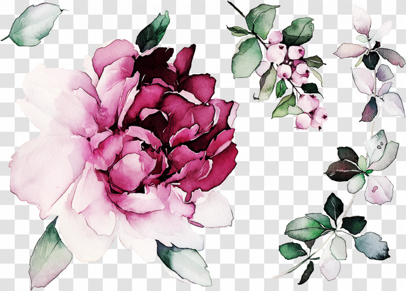 Floral Design Transparent PNG