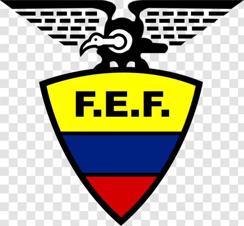 Ecuador National Football Team 2014 FIFA World Cup England Baseball - Yellow Transparent PNG
