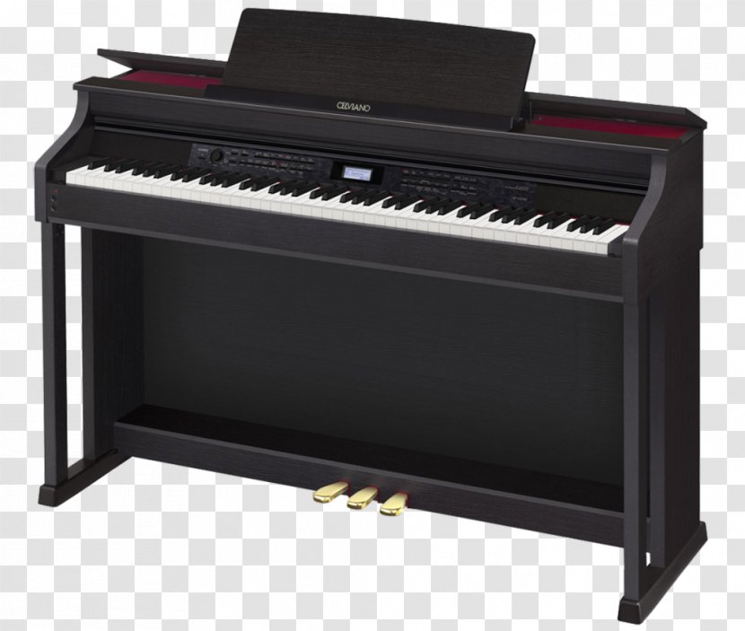 Digital Piano Keyboard Casio Action - Cartoon Transparent PNG