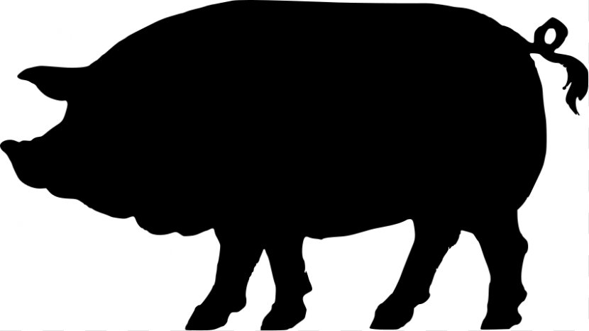 Domestic Pig Silhouette Clip Art - Wikimedia Commons - Images Transparent PNG