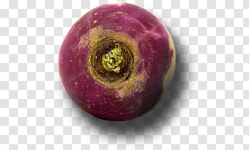Turnip Rutabaga Bead Sphere Superfood - Purple Transparent PNG