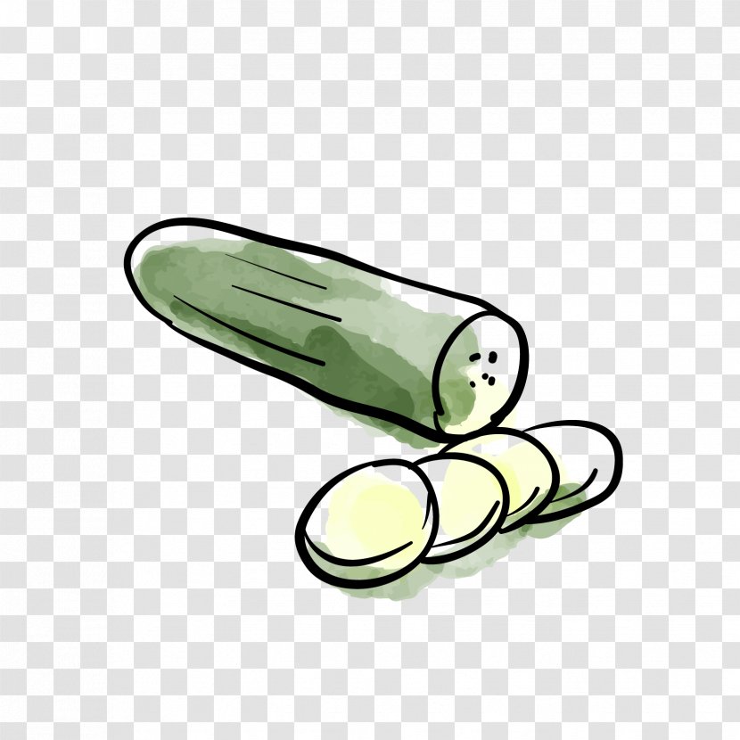 Cucumber Vegetable Food - Drawing Transparent PNG