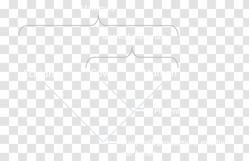 Line Angle - Rectangle Transparent PNG