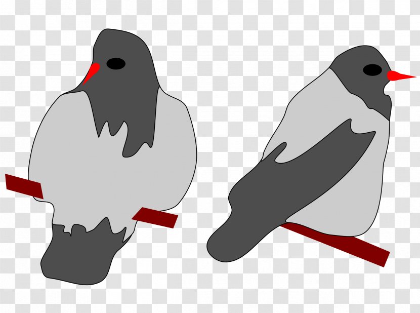 Eurasian Magpie Crow Clip Art - Penguin Transparent PNG