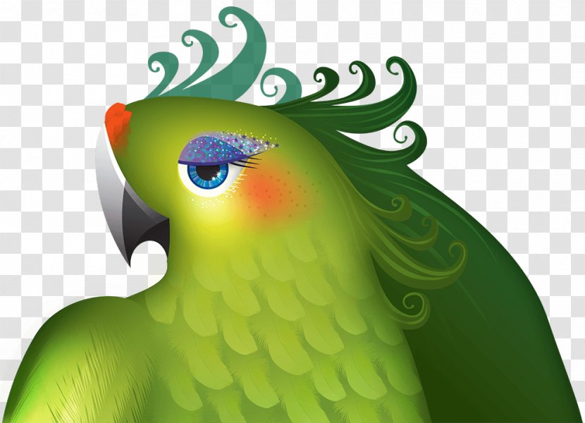 Macaw Love Birds Parrot Edinburgh Festival Fringe Transparent PNG