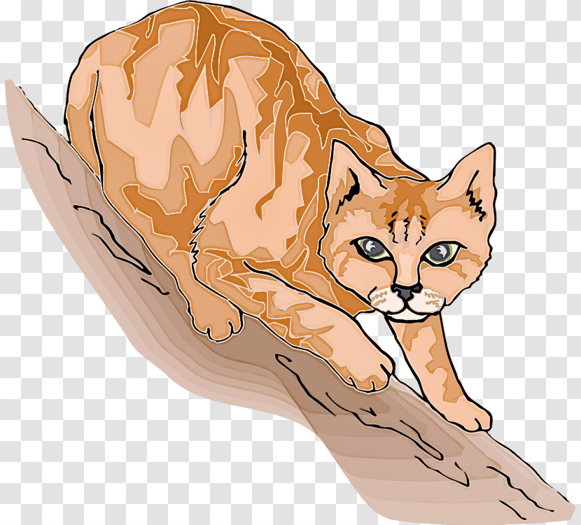 Fennec Fox Cat Small To Medium-sized Cats Wildlife Red Fox Transparent PNG