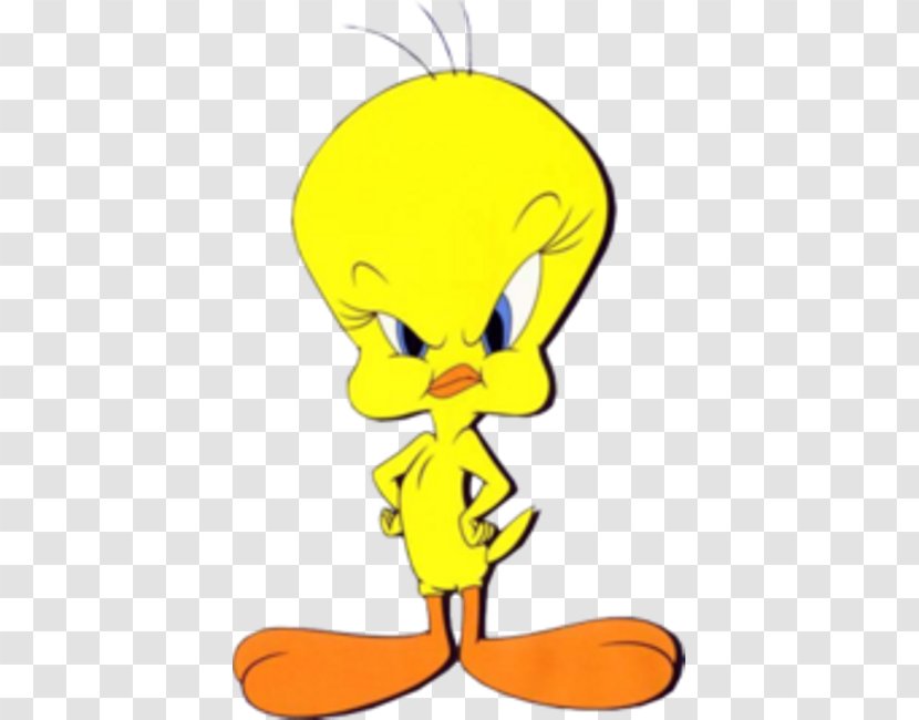 Tweety Sylvester Drawing Looney Tunes - Sticker Transparent PNG