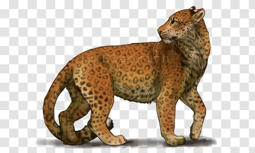 Cheetah Leopard Jaguar Lion Whiskers - Small To Medium Sized Cats Transparent PNG
