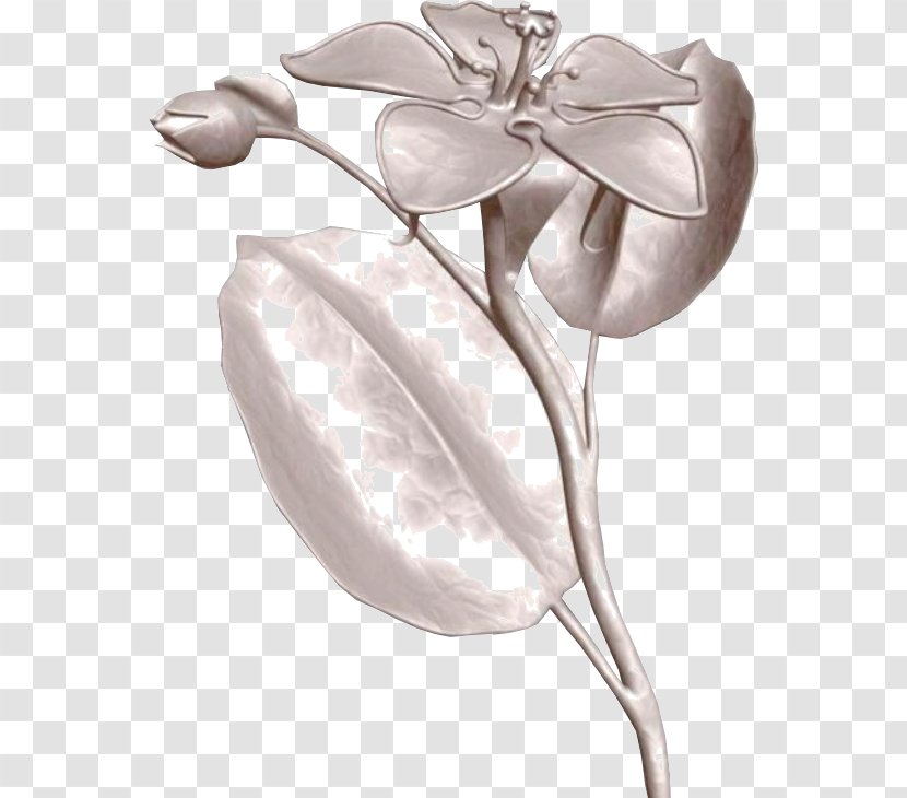 Cut Flowers Still Life Photography Petal - Flower Transparent PNG