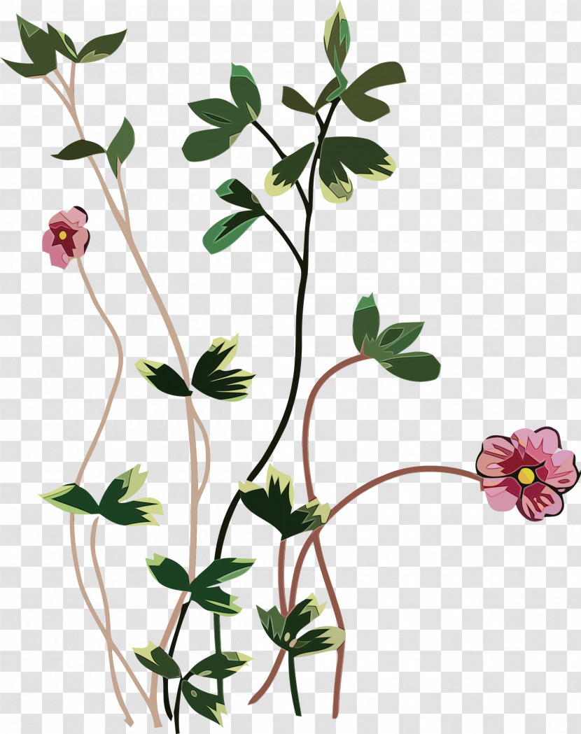 Floral Design Transparent PNG