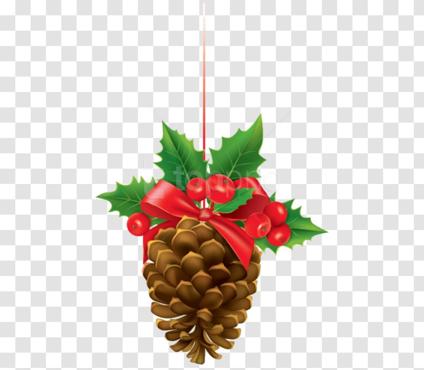 Christmas Decoration - Pine - Family Transparent PNG