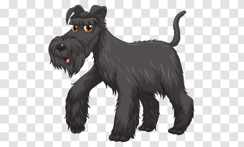 Puppy Yorkshire Terrier Kerry Blue Dog Type Clip Art - Giant Schnauzer Transparent PNG