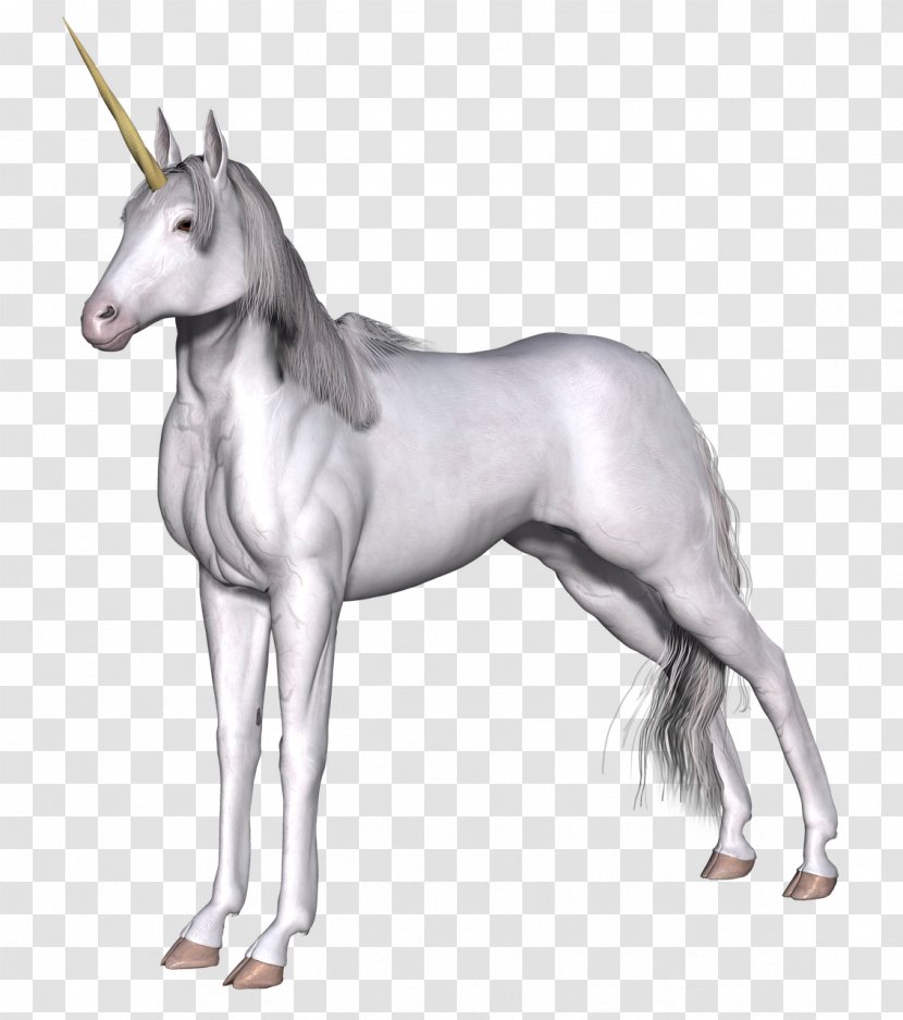 Horse Unicorn Legendary Creature Clip Art Transparent PNG
