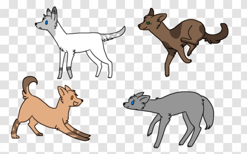 Cat Lion Dog Macropodidae Mammal Transparent PNG