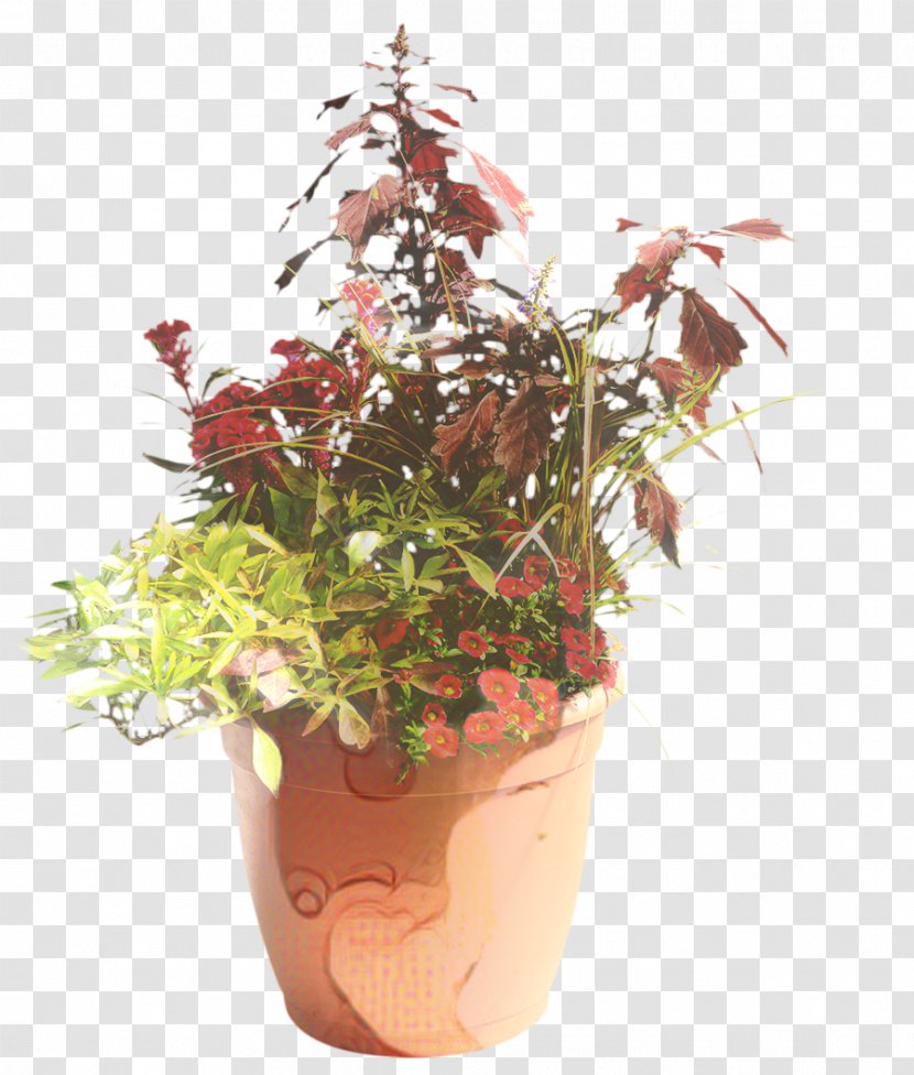 Flowers Background - Houseplant - Perennial Plant Wildflower Transparent PNG
