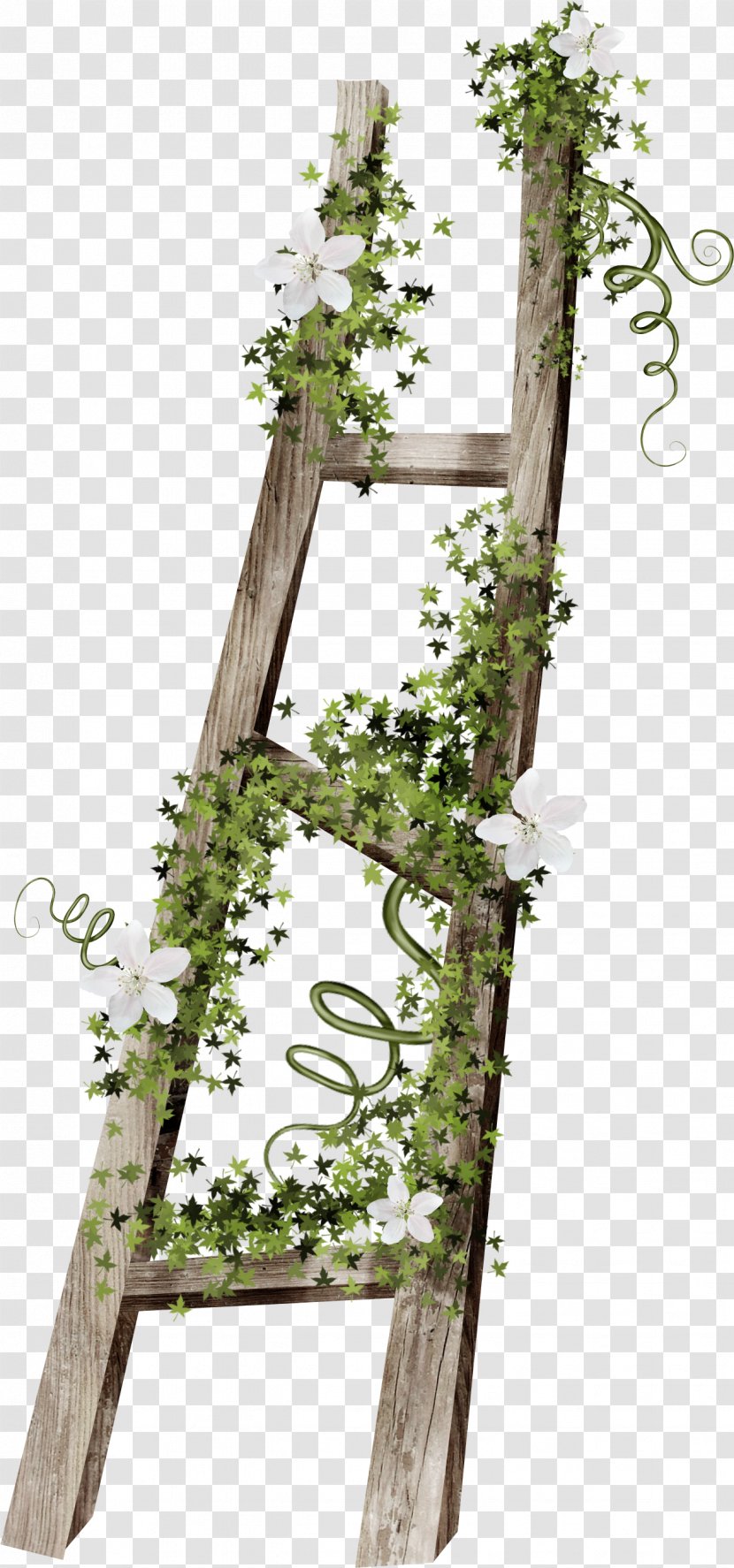 Stairs Ladder Wood - Plant Stem Transparent PNG