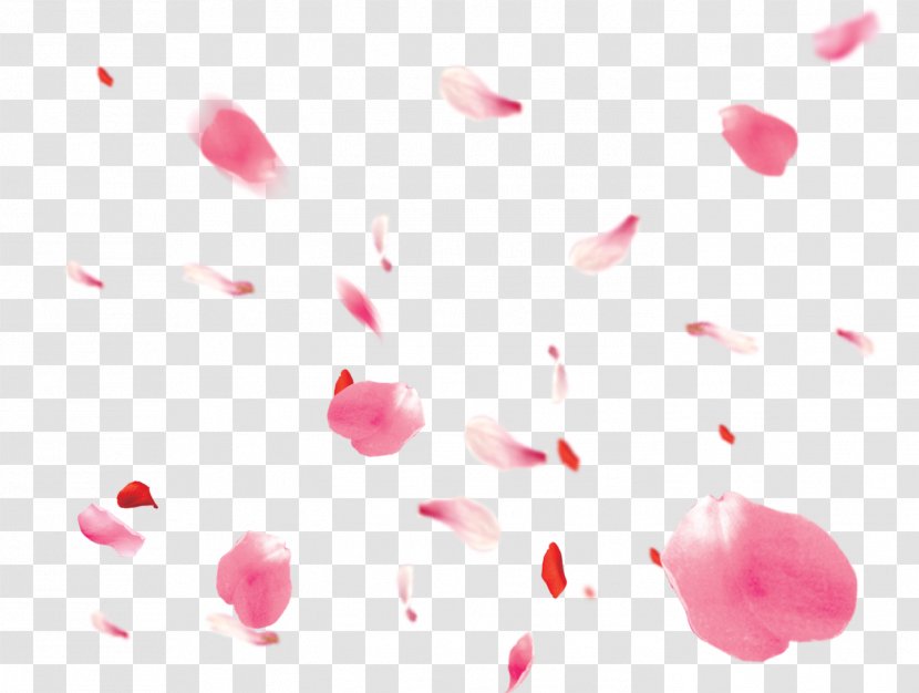 Petal Psd Clip Art Flower - Rose Transparent PNG