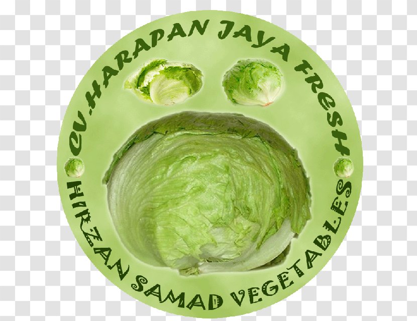 CV. Harapan Jaya Lettuce Supplier Sayuran Segar Business - Leaf Vegetable - Bulat Transparent PNG