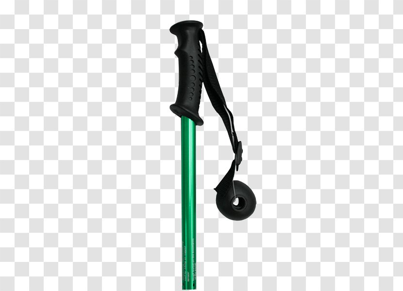 Bastone Ski Poles Wood Plastic - Tree - Park Lane Transparent PNG