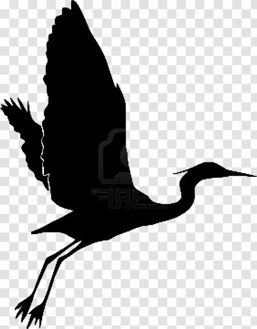 Beak Heron Bird Egret Grand Gardens - Jewellery Transparent PNG