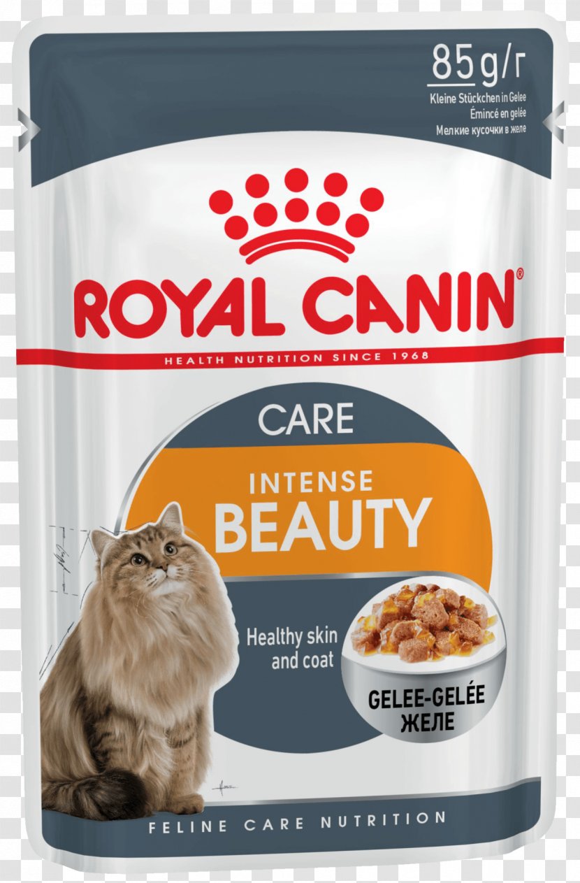 Royal Canin Sensitive Digestion Dry Cat Food Maine Coon Dog - Pet Transparent PNG