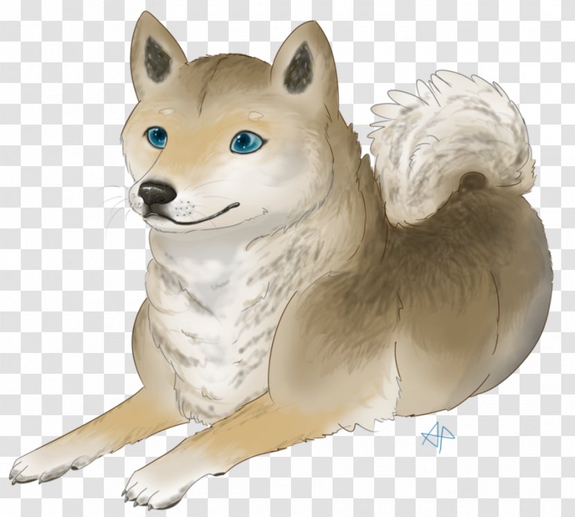 Dog Breed Shiba Inu Pomeranian Dogecoin - Carnivoran - Mean Transparent PNG