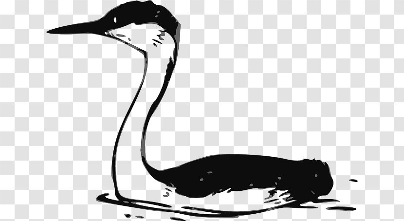Water Bird Heron Vector Graphics Clip Art - Crane Transparent PNG