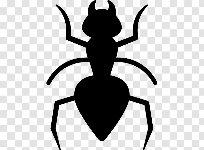 Ant Beetle Pest Control Cockroach Clip Art Transparent PNG