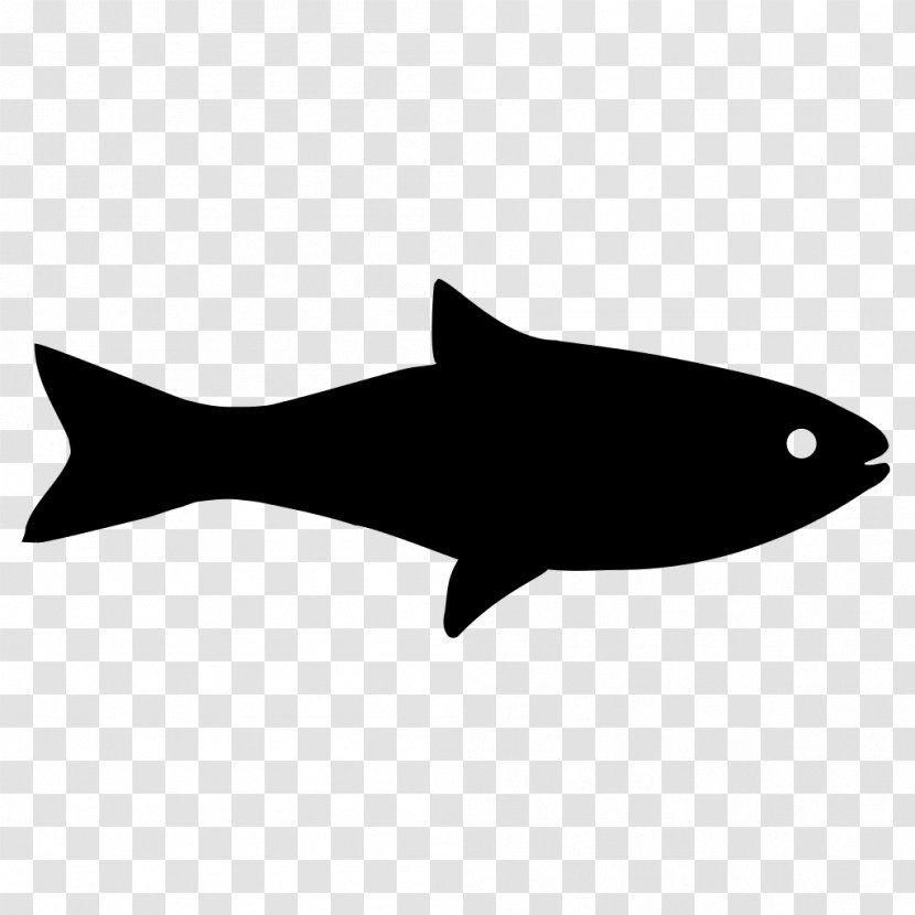 Fishing - Fin - Tail Transparent PNG