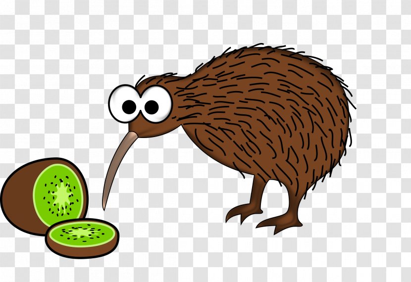 Bird New Zealand Cartoon Clip Art - Kiwi Transparent PNG