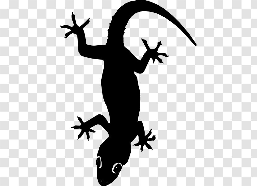 Lizard Clip Art - Organism - Vector Transparent PNG