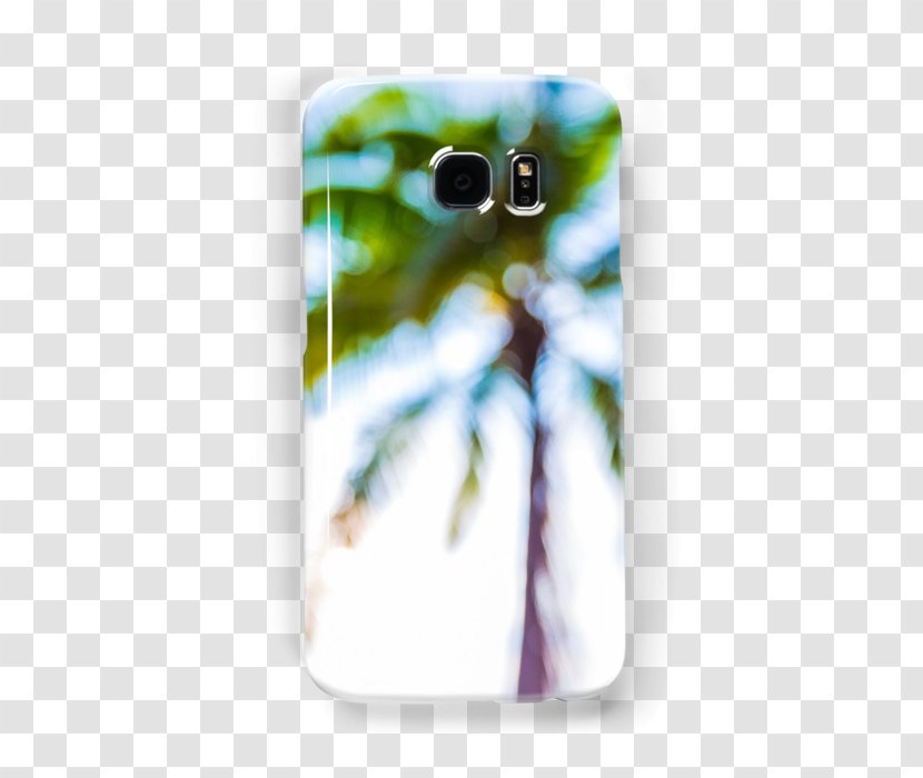 Mobile Phone Accessories Phones IPhone - Posters Decorative Palm Leaves Transparent PNG