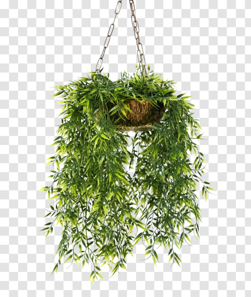 Flowerpot Houseplant Hanging Basket - Photography - Flower Pot Transparent PNG