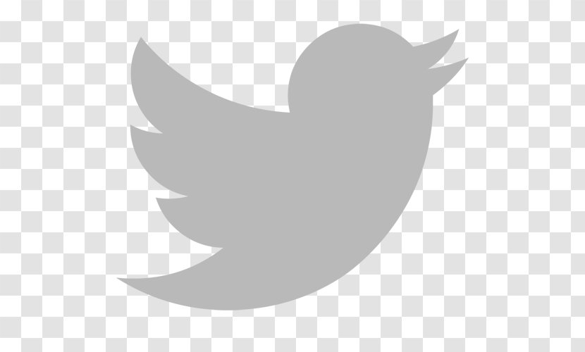 Social Media Computer Icons The Prince's Foundation Scalable Vector Graphics - Bird Transparent PNG