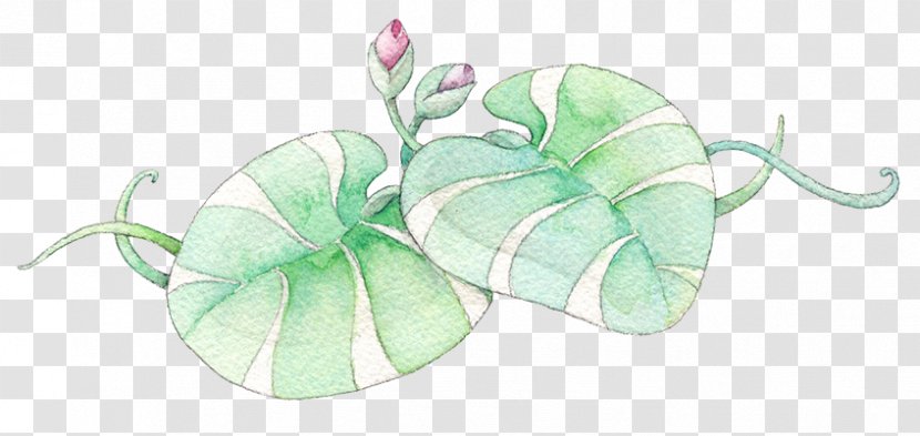 Nelumbo Nucifera Leaf Lotus Effect - Picture Material Transparent PNG