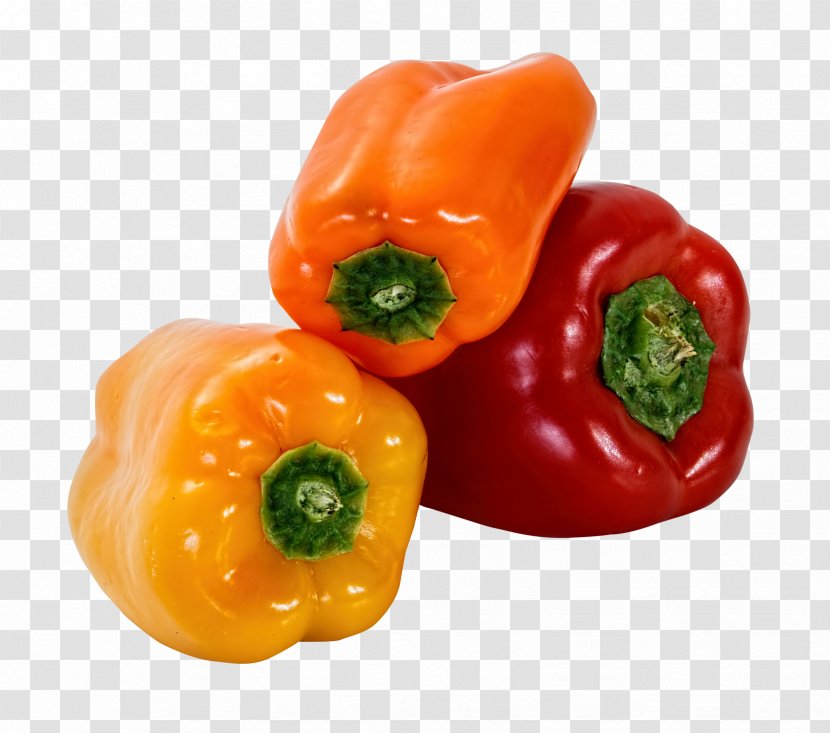 Habanero Piquillo Pepper Bell Friggitello - Chili Transparent PNG