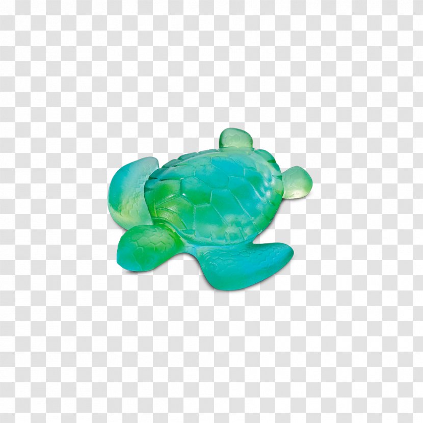 Sea Turtle Blue Daum Turquoise Transparent PNG