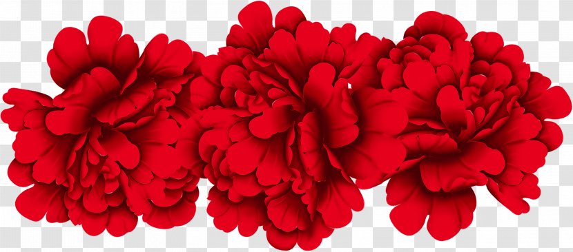 Red Moutan Peony - Flower Material Transparent PNG