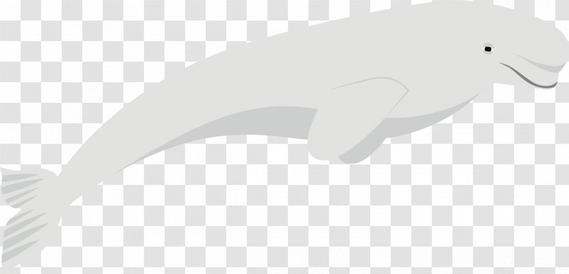 Beak White Marine Mammal Black - Dolphin Vector Transparent PNG