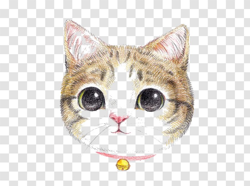 Cat Dog Colored Pencil Painting Cuteness - Small To Medium Sized Cats - Cartoon Transparent PNG