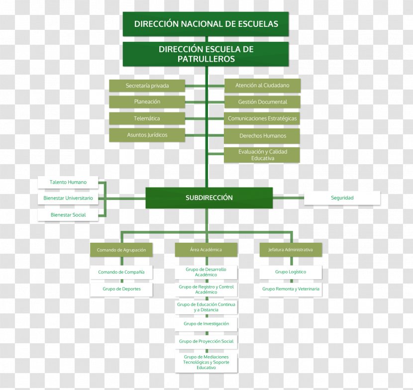 Organizational Chart National Police Of Colombia Directorate Criminal Investigation And Interpol - Honduras Transparent PNG