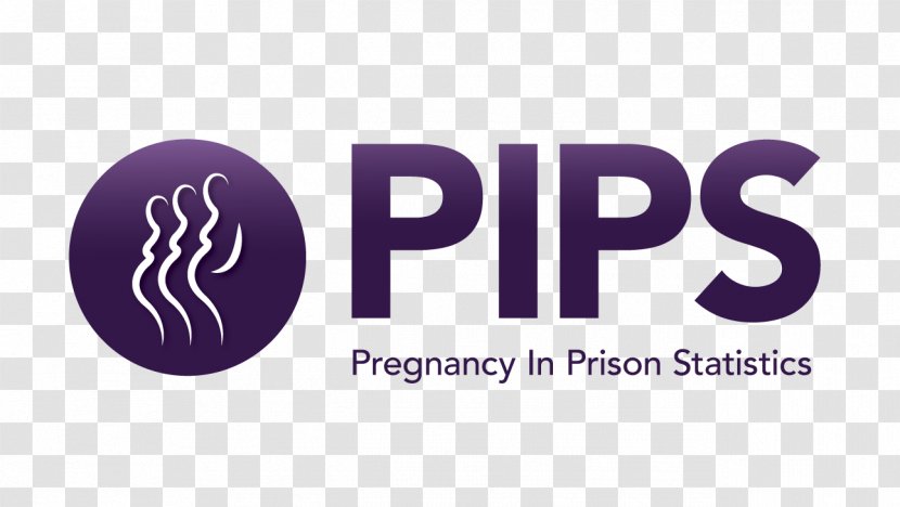 Prison Criminal Justice National Commission On Correctional Health Care United States Pregnancy - 88 Transparent PNG