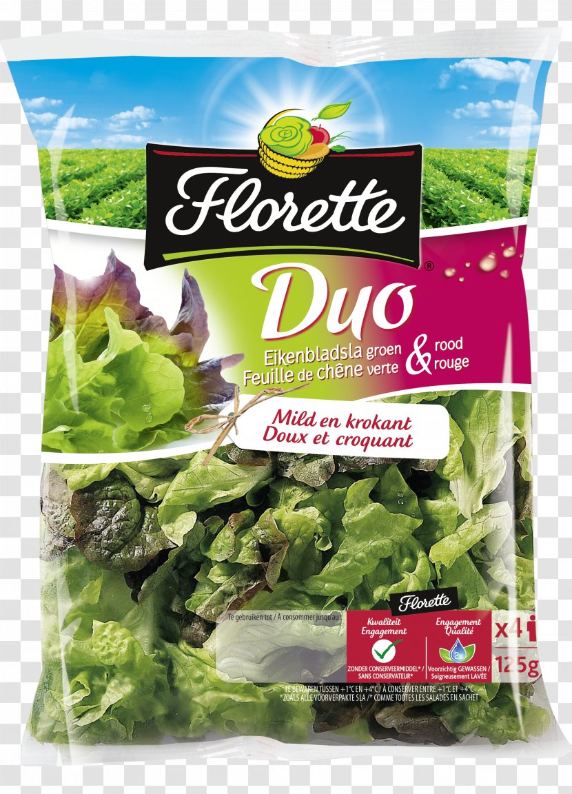 Romaine Lettuce Eikenbladsla Arugula Salad - Chard Transparent PNG