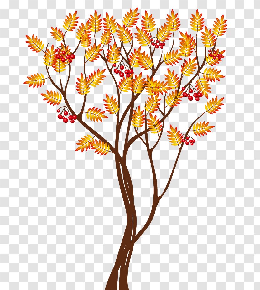 Autumn Tree Clip Art - Treelet - Transparent Clipart Image Transparent PNG