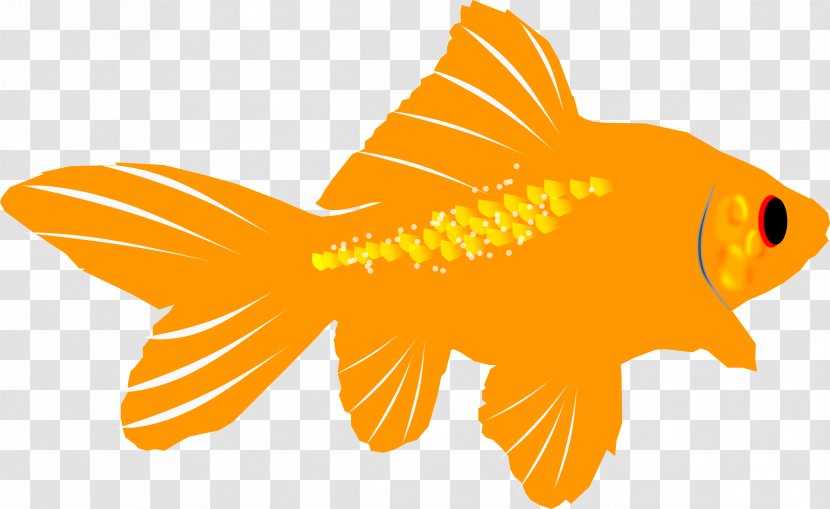 Goldfish Clip Art - Fish Transparent PNG