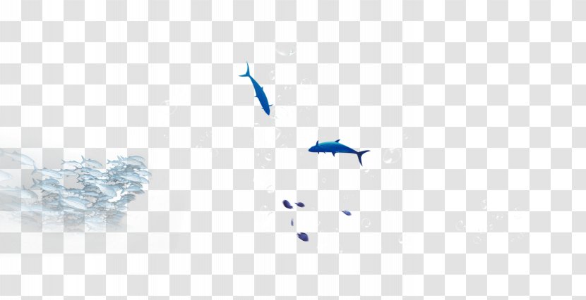 Blue Pattern - Point - A Variety Of Fish That Swim Under The Sea Transparent PNG