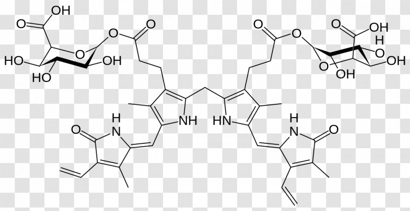 Bilirubin Diglucuronide Heme Catabolism Metabolism - Silhouette - Rubin Transparent PNG
