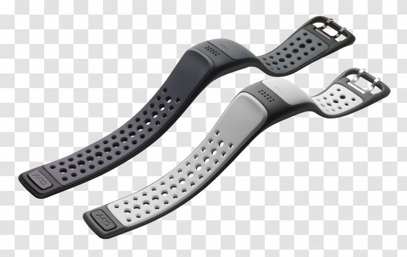 Heart Rate Monitor Bracelet Wristband - Doitasun - Arctic Food Web Transparent PNG