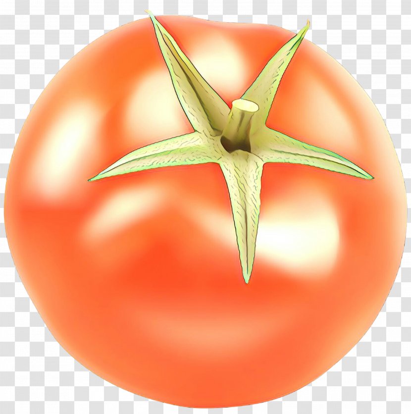 Tomato Cartoon - Fruit - Vegetable Nightshade Family Transparent PNG